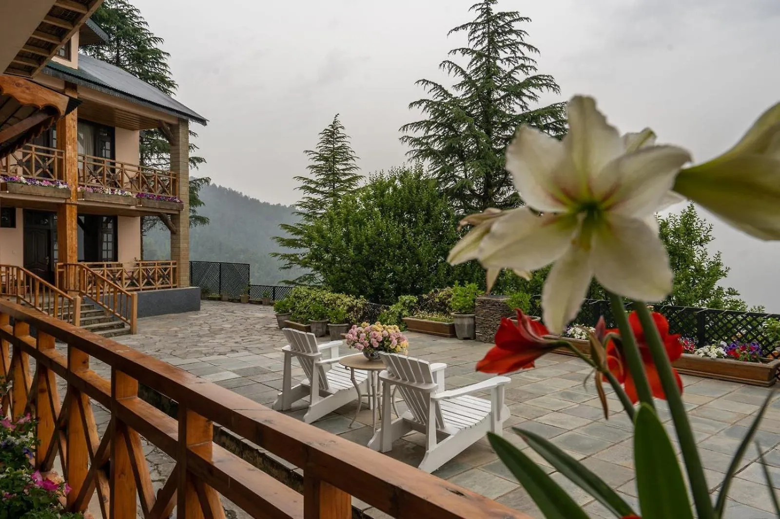 Mahasu House Hotel Shimla